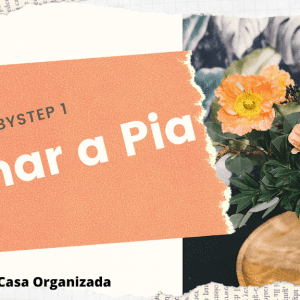 31 Babysteps ou Passos de Bebê – Sistema Fly Lady