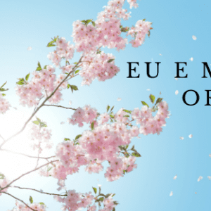 É Inteligente  SER DONA de sua casa