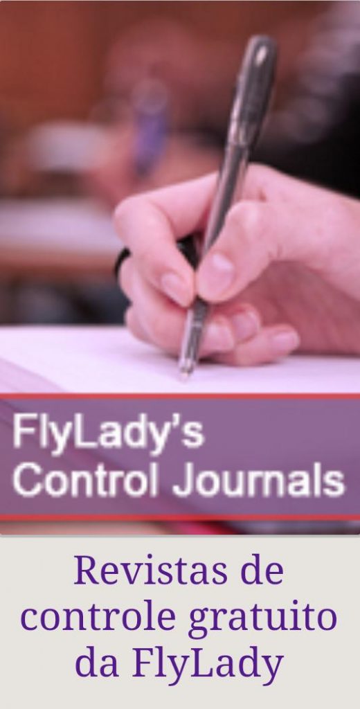 Fly Ladys  520x1024 - Sistemas de Organização Doméstica e Percepção da Vida