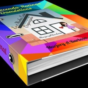 Semana Control Journal – FLY Lady